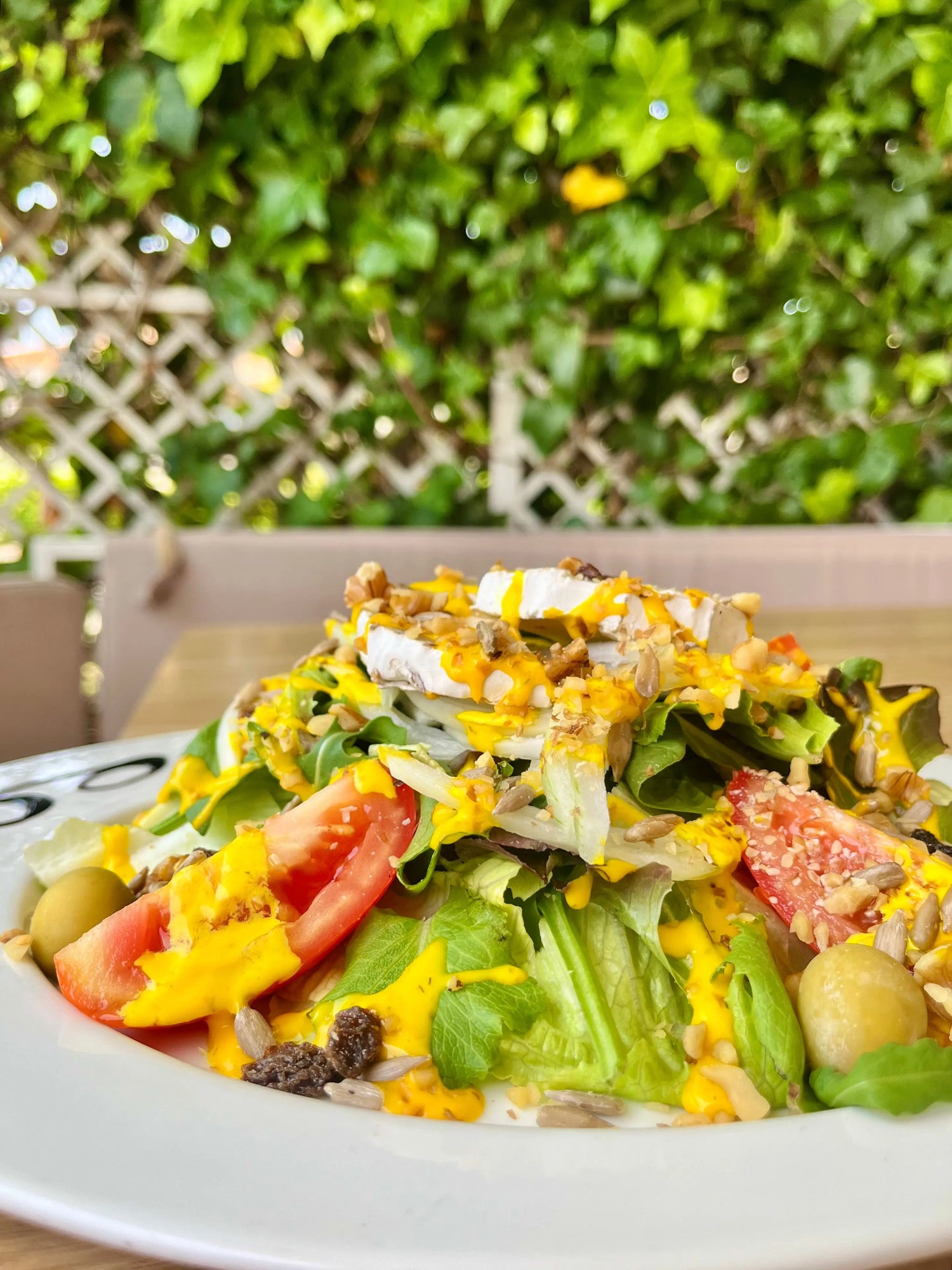 Ensaladas Manduc